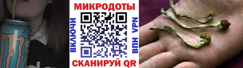 дарнет шоп мега ссылки Псилоцибиновые грибы ЛСД Хасавюрт